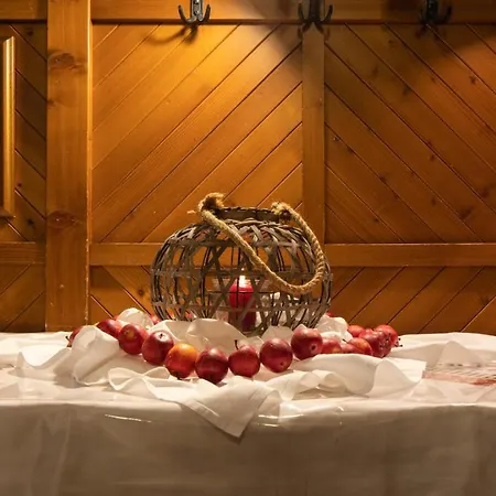 Otel Krimmlerfaelle Krimml